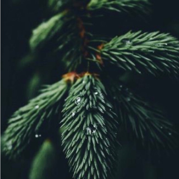 I love offers! - Picture 12 of 16